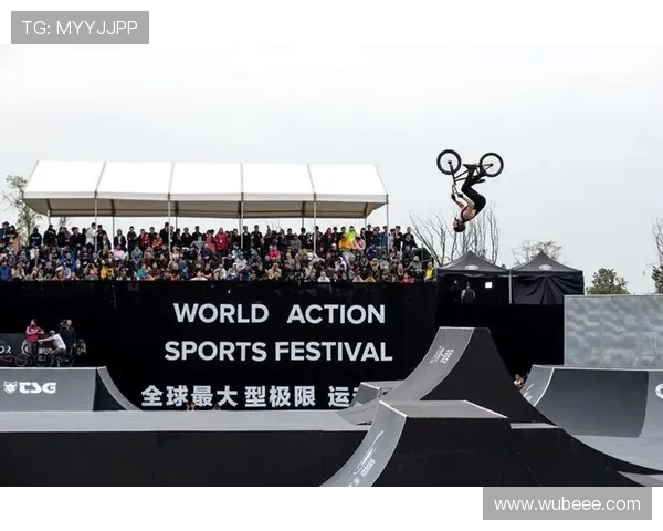 成都极限运动队运营分析与发展经验探讨